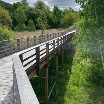 Steganlage Bad Gandersheim